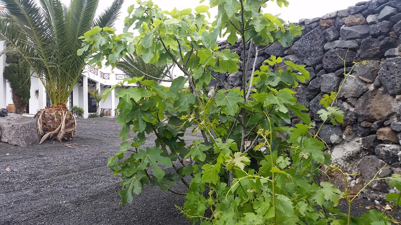 Finca Fajardo La Vegueta المظهر الخارجي الصورة